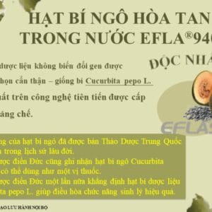 Điểm nổi bật của viên uống Hạt bí ngô DLC