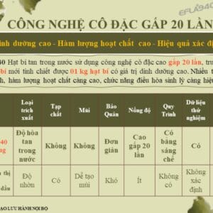 Chứng nhận SGS, GRAS, CGMP của viên uống Hạt Bí Ngô DLC
