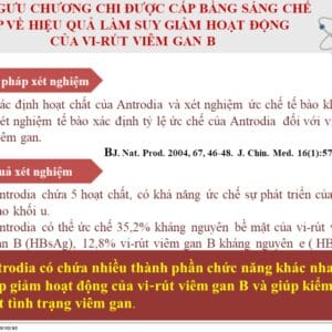 Tác dụng của nấm ngưu chương chi được chứng nhận Kosher, SGS