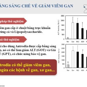 Nấm Ngưu Chương Chi DLC sản xuất theo tiêu chuẩn CGMP quốc tế