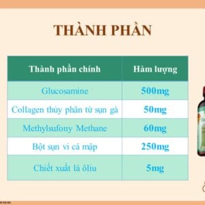 Thành phần chính viên khớp Glucosamine Chondroitin của Mỹ DLC
