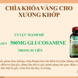 Công nghệ sản xuất và chứng nhận FDA, SGS, CGMP của Glucosamine DLC