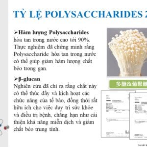 Tác dụng của nấm ngưu chương chi trong bảo vệ gan, tăng miễn dịch