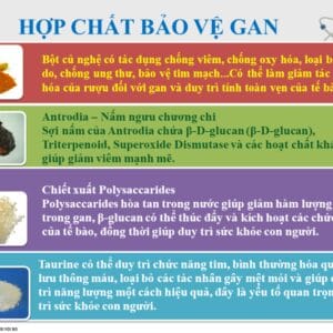 Thành phần vượt trội của nấm chương chi: Polysaccharides, Bio Curcumin BCM-95