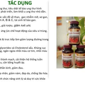 Nấm chương chi cao cấp DLC