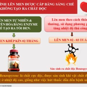 Quy trình sản xuất đạt chuẩn CGMP của Tinh chất Tỏi đen DLC