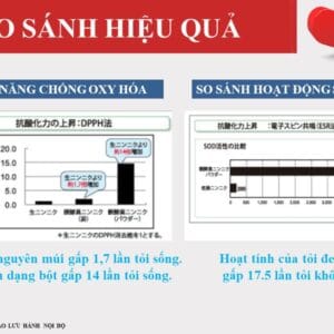 Tinh chất Tỏi đen lên men Nhật Bản hỗ trợ tim mạch và tuần hoàn máu