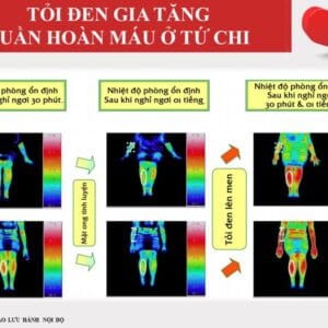 Thành phần công thức Tinh chất Tỏi đen lên men Nhật Bản DLC