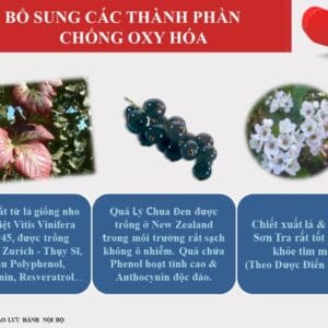 Công dụng chính của Tinh chất Tỏi đen lên men Nhật Bản DLC