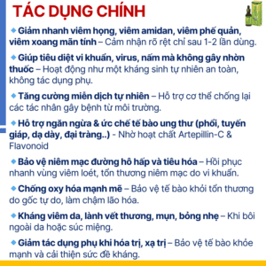 Keo ong xanh Brazil Amazon – hình ảnh sản phẩm 5