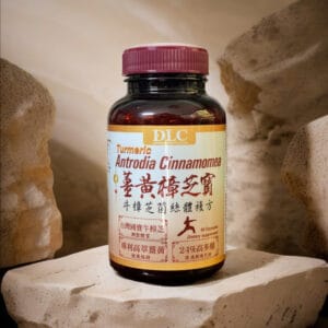 Nấm chương chi thượng hạng DLC – Antrodia Cinnamomea từ Đài Loan