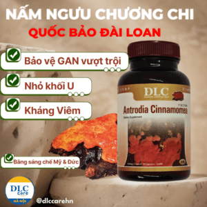 Nấm ngưu chương chi Đài Loan hỗ trợ kháng ung thư