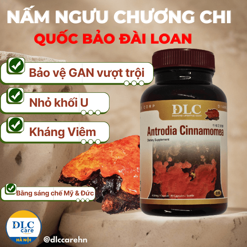 Nấm ngưu chương chi Đài Loan hỗ trợ kháng ung thư
