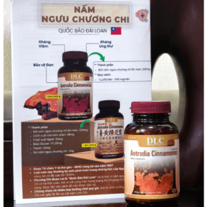 Nấm ngưu chương chi Quốc bảo Đài Loan hỗ trợ kháng viêm và Gan