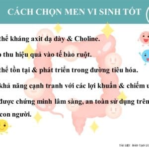 Lợi khuẩn probiotic DL12 hỗ trợ tiêu hóa, miễn dịch, thần kinh