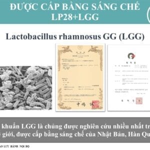 Bằng sáng chế công nghệ Ion-12 Protect Plus của DL12 Probiotics