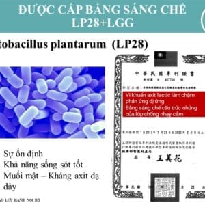Chứng nhận quốc tế GRAS, SGS, ISO của men vi sinh DL12 Probiotics