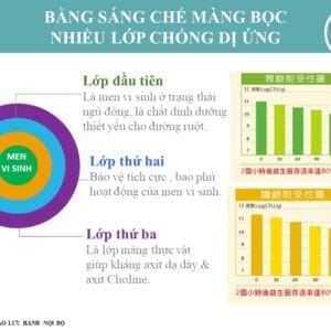 Hướng dẫn sử dụng men vi sinh DL12 Probiotics theo từng đối tượng