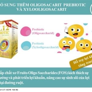 Lợi ích của men vi sinh DL12 Probiotics đối với sức khỏe