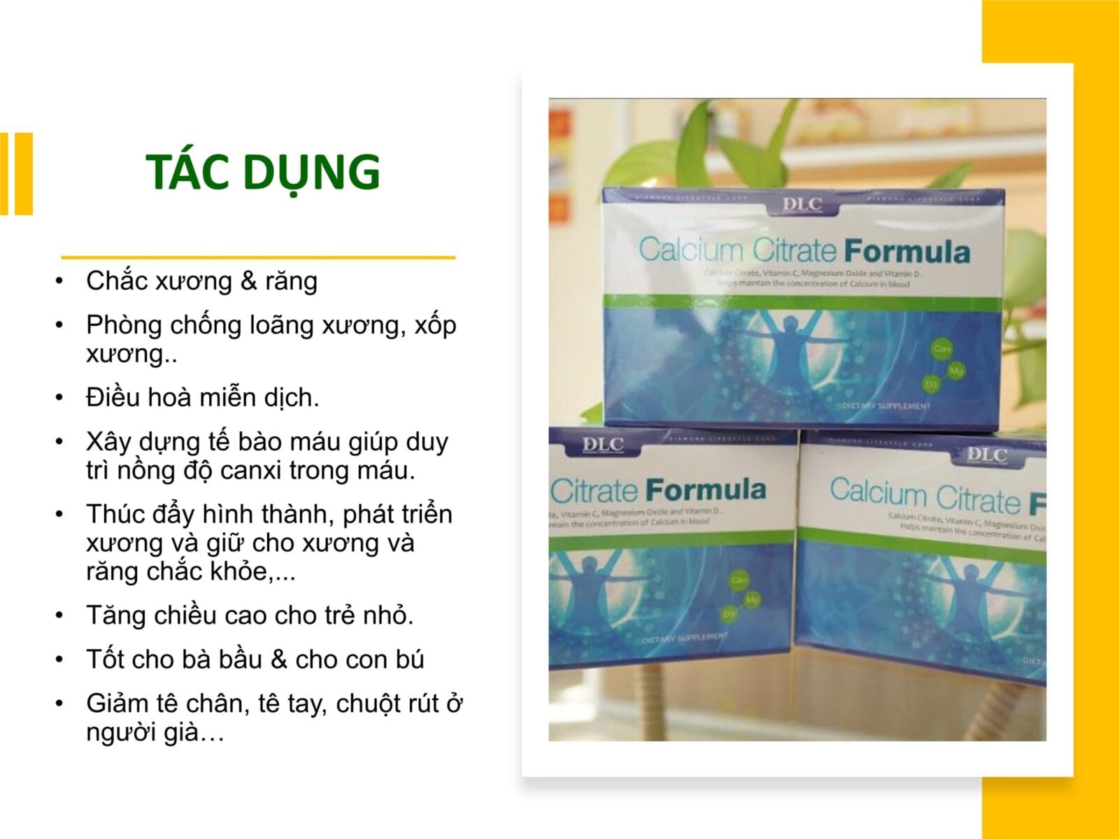 Canxi Citrate hữu cơ DLC chứng nhận GRAS FDA, SGS