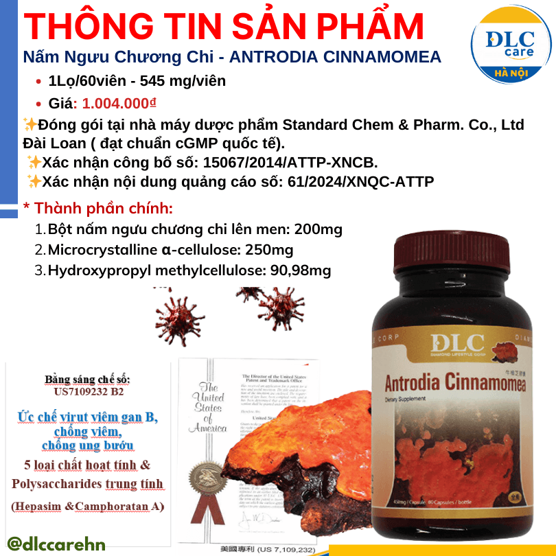 Nấm ngưu chương chi Đài Loan chuyên hỗ trợ Gan và ung thư