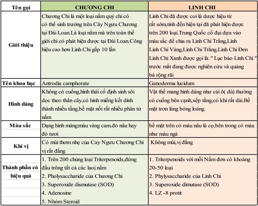 Nấm ngưu chương chi DLC Đài Loan – hình ảnh sản phẩm 2