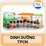 Sản phẩm của công ty DLCVN – hình ảnh 1