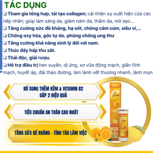 Vitamin C hữu cơ tự nhiên DLC 1000mg – hình ảnh sản phẩm 3