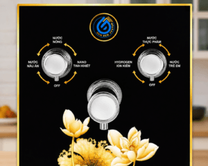Sơ đồ các chức năng và chế độ nước của máy lọc nước GEMS 01 NEW
