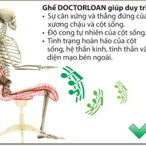 Minh họa ngồi đúng tư thế với ghế N85 DoctorLoan