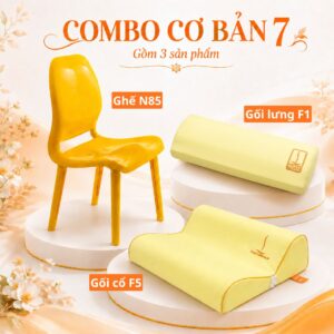 Combo cơ bản 7 DoctorLoan – ghế N85, gối cổ F5, gối lưng F1