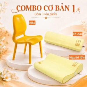 Combo cơ bản 1 – hệ gối ghế nắn chỉnh DoctorLoan