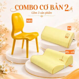 Combo cơ bản 2 – hệ gối ghế nắn chỉnh DoctorLoan F4 F5