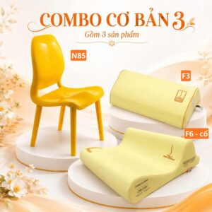 Combo cơ bản 3 – hệ gối ghế nắn chỉnh DoctorLoan F3 F6