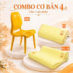 Combo cơ bản 4 – hệ gối ghế nắn chỉnh DoctorLoan F3 F4 cao cấp