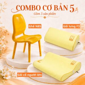 Combo cơ bản 5 DoctorLoan – gối cổ AU/N, gối lưng F3, ghế N85