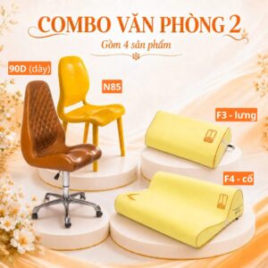 Combo văn phòng 2 – ghế 90D gối F3 F4 nắn chỉnh cột sống DoctorLoan