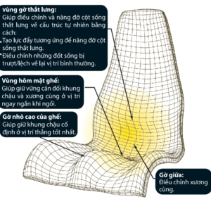 Thiết kế ghế DoctorLoan theo cấu trúc lồi trước – lõm sau