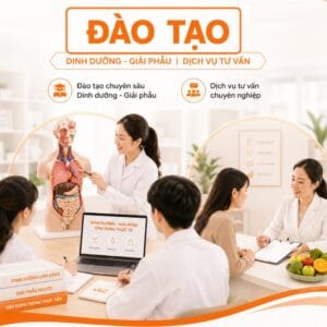 Khóa học & Dịch vụ