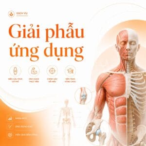 Khóa học Giải Phẫu Ứng Dụng DLC Care